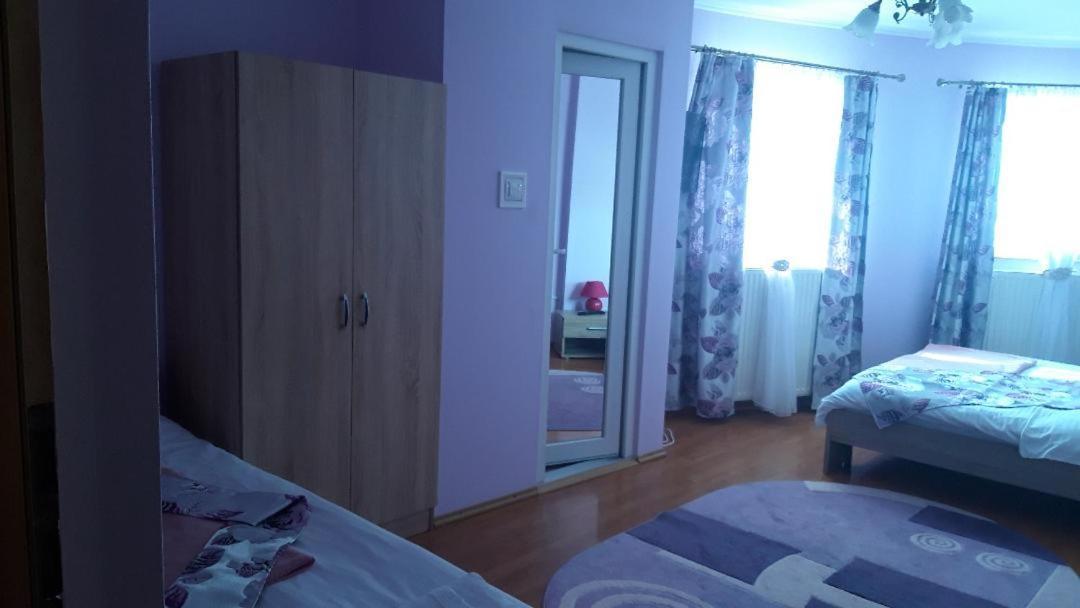 ホテル Casa Liana オラデア エクステリア 写真