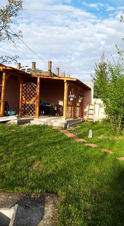 ホテル Casa Liana オラデア エクステリア 写真
