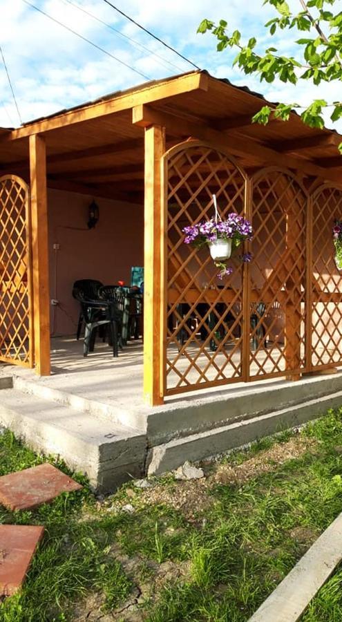 ホテル Casa Liana オラデア エクステリア 写真