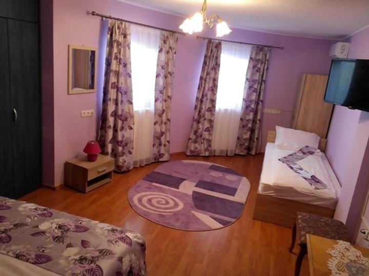 ホテル Casa Liana オラデア エクステリア 写真